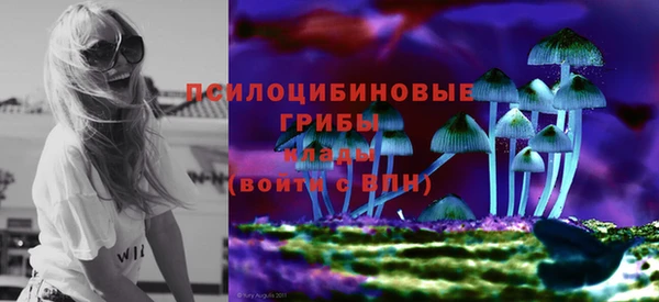 гидра Абдулино